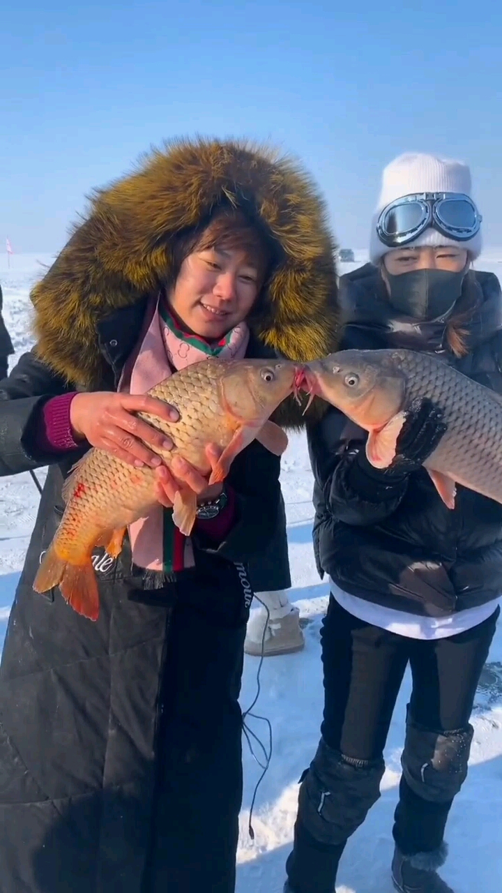 这两个大鲤鱼还在秀恩爱那家都要冬眠了你两怪有兴致