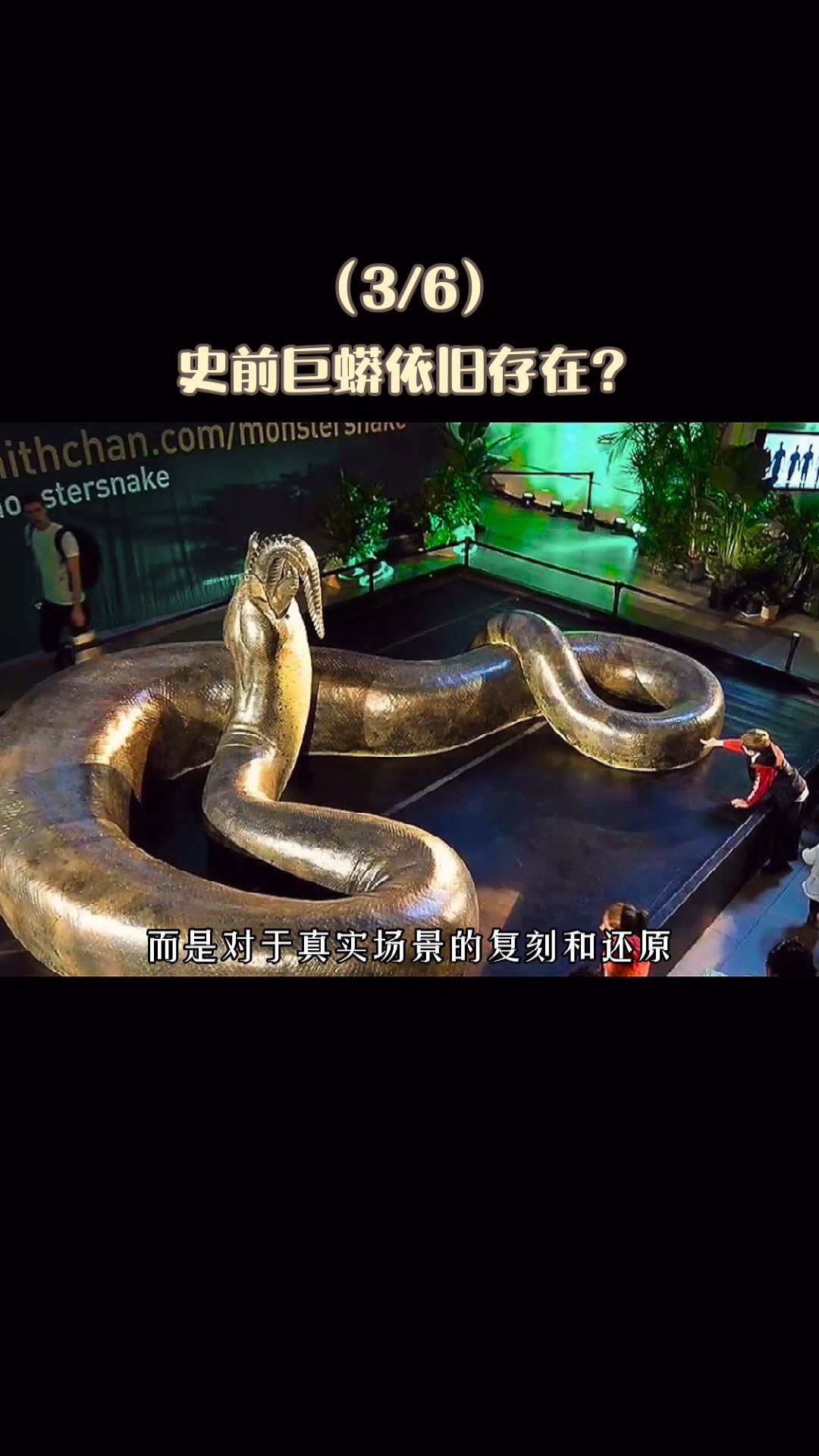 历史#史前巨蟒至今存在(3/6)