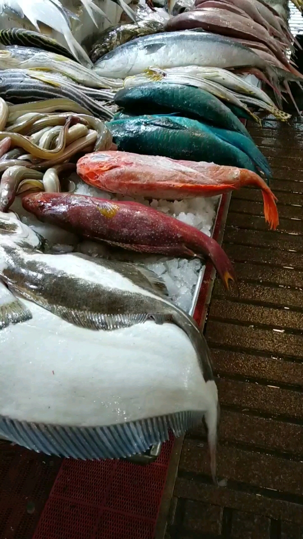 海鲜市场的 大鱼