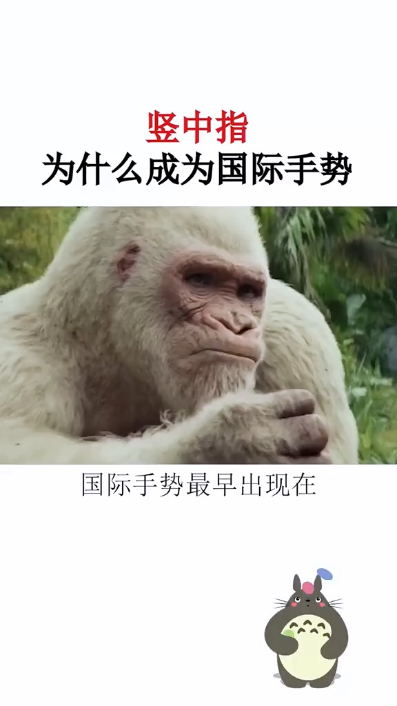 科普竖中指如何成为国际友好手势