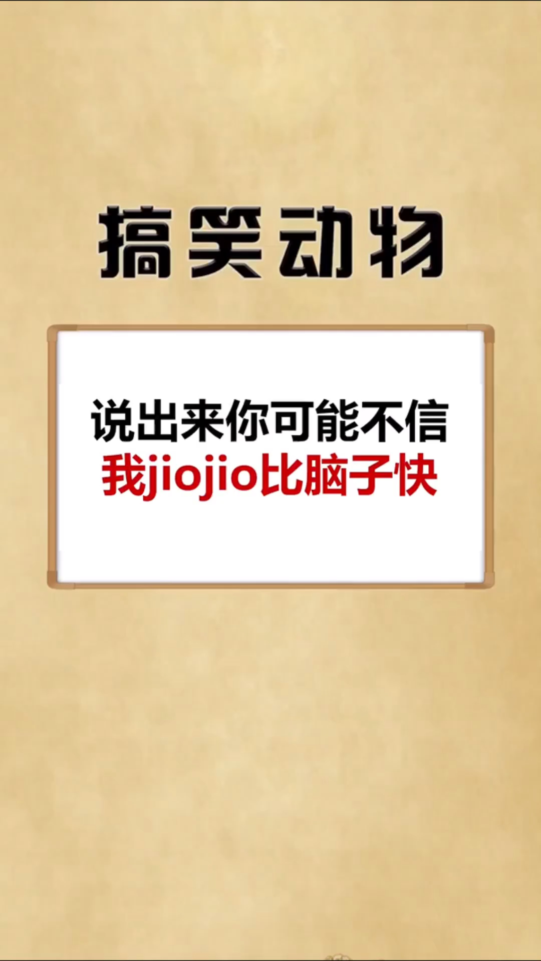 搞笑萌宠#猫:发生了什么?