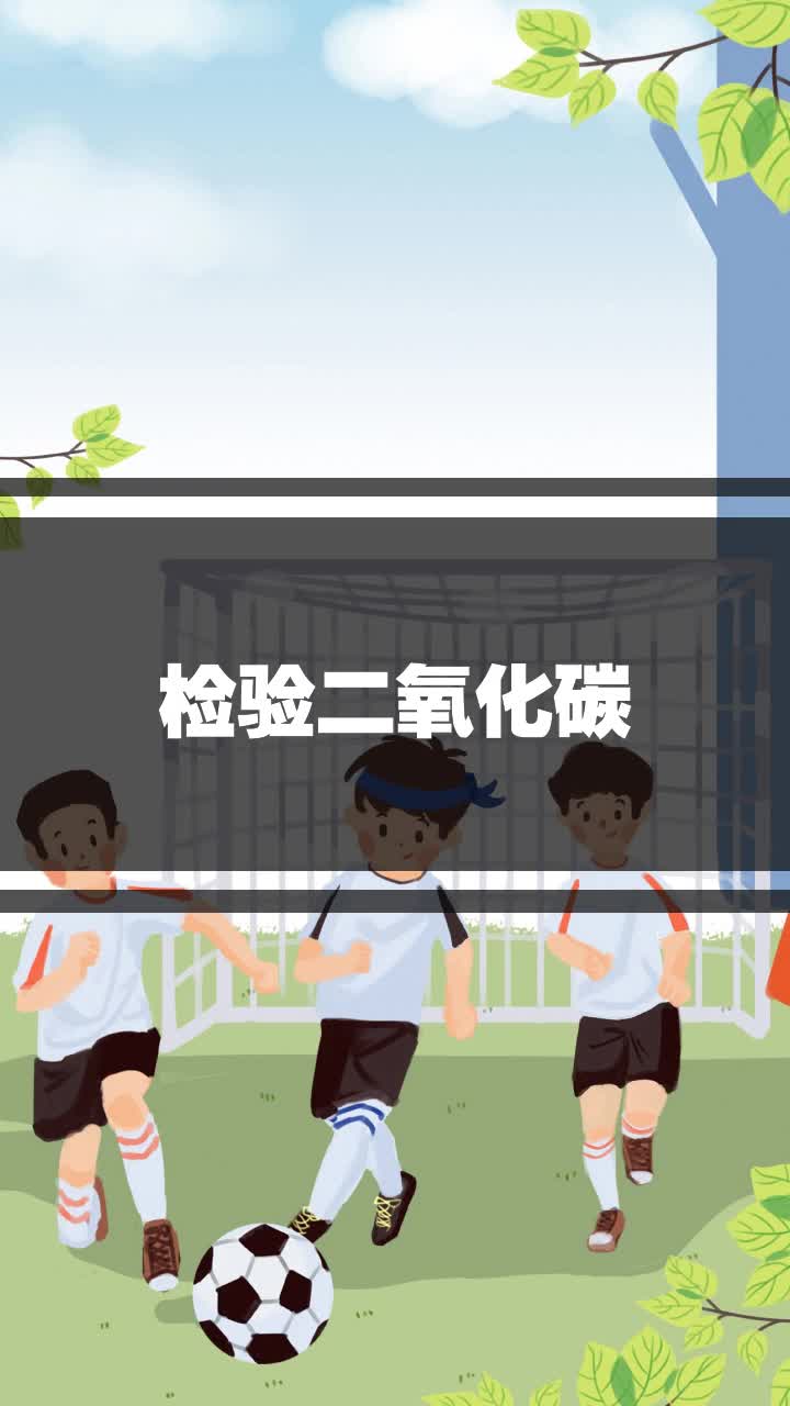 检验二氧化碳