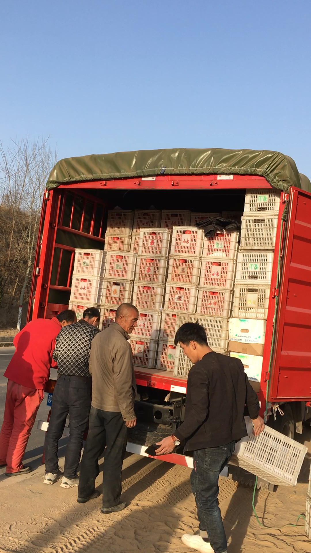 两车西红柿出发