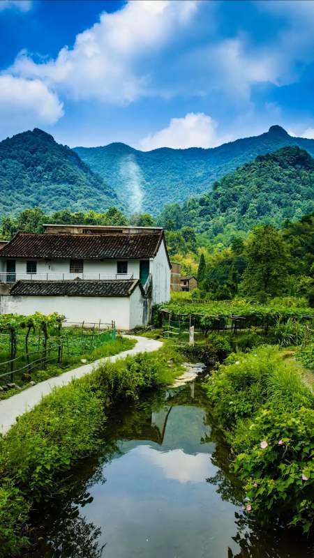 0/100 回复 小青青ddh2月前 去我老家浙江省安吉县杭垓镇桐坑村吧!