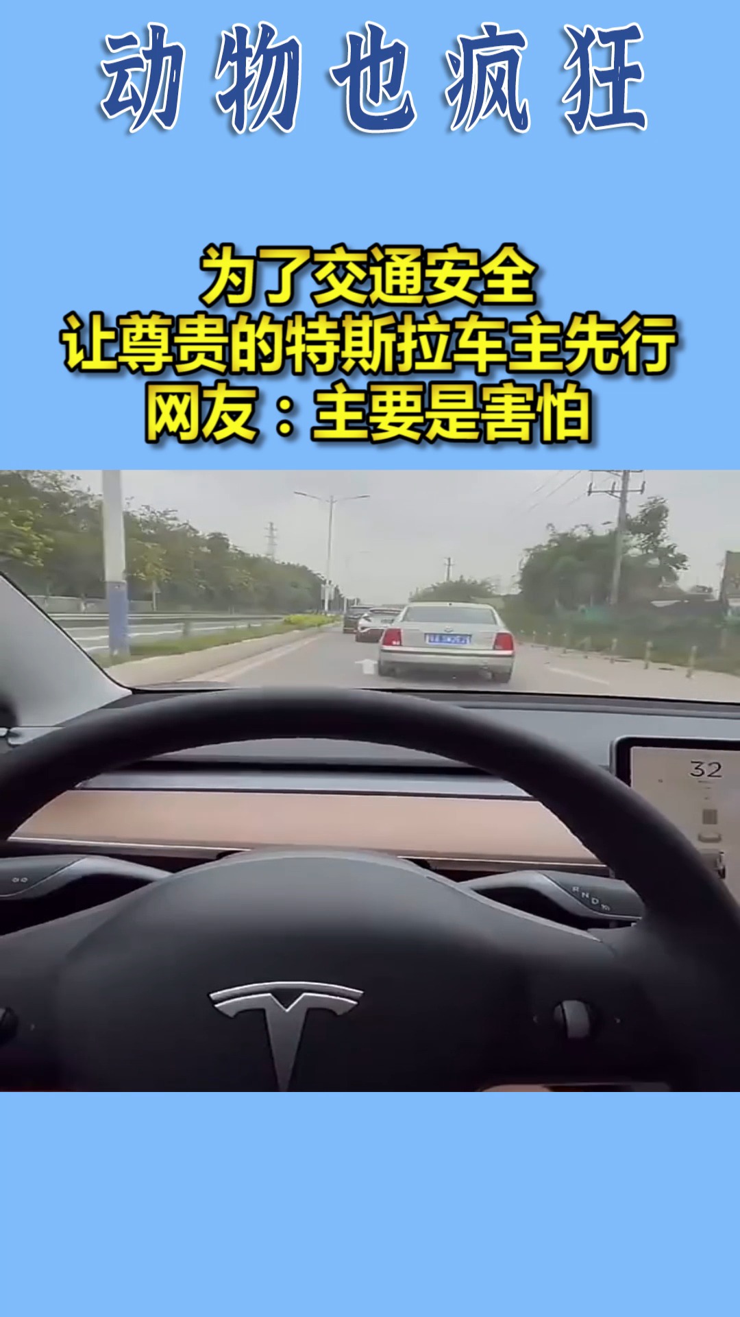 我要上热门#为了交通安全,让尊贵的特斯拉车主先行,网友:主要是害怕