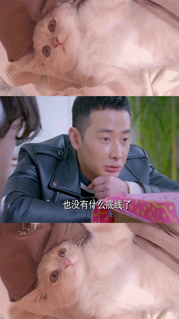 高雯给雷奕明介绍房子