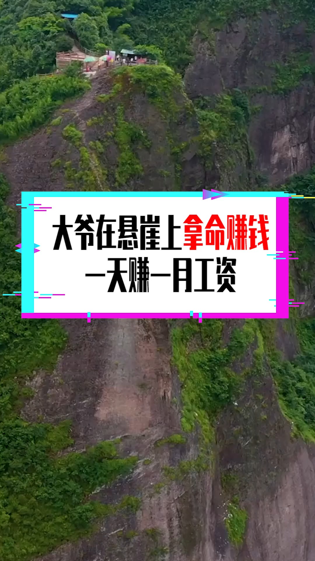 奇闻趣事抢先看#大爷在悬崖上拿命赚钱,一天赚一月工资,这可不是野沣