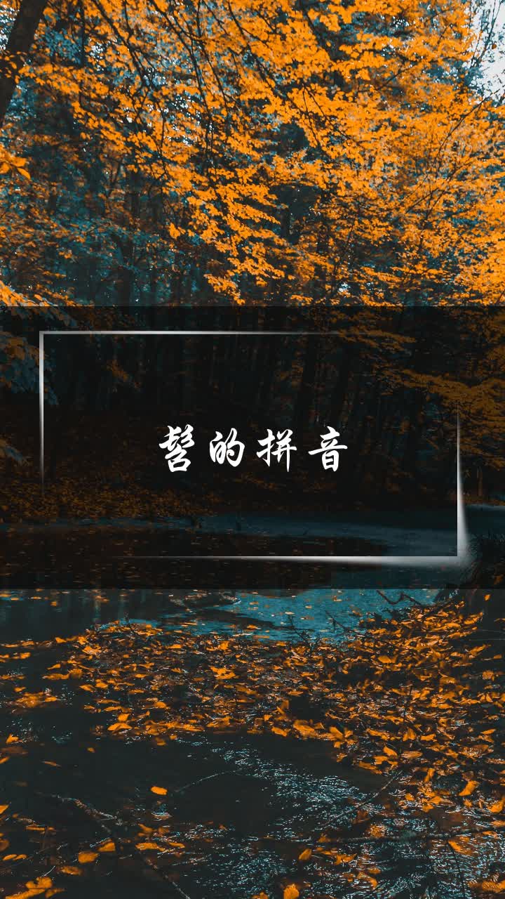 髫的拼音图片