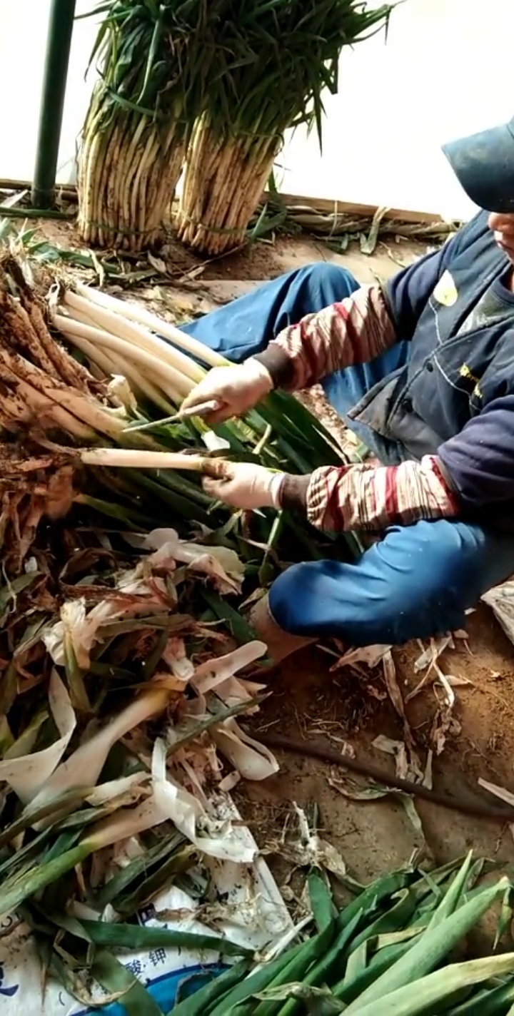 这样剥葱确实是快啊