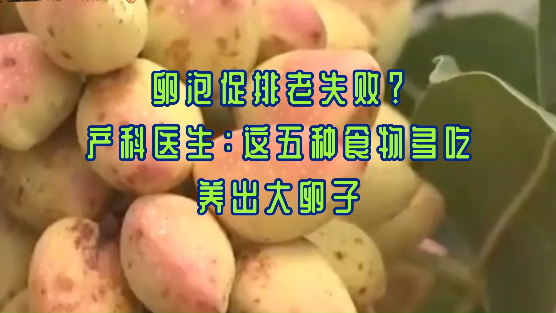 卵泡促排老失败?产科医生:这五种食物多吃,养出大卵子