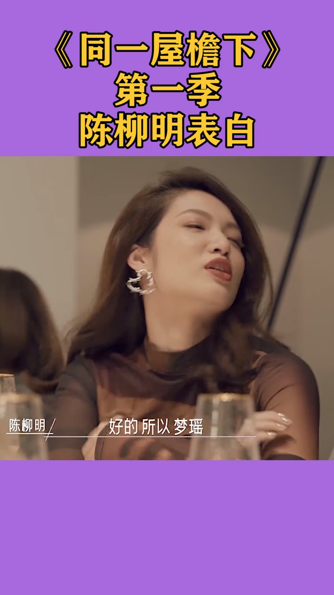 同一屋檐下第一季,陈柳明,约会摄影师小哥