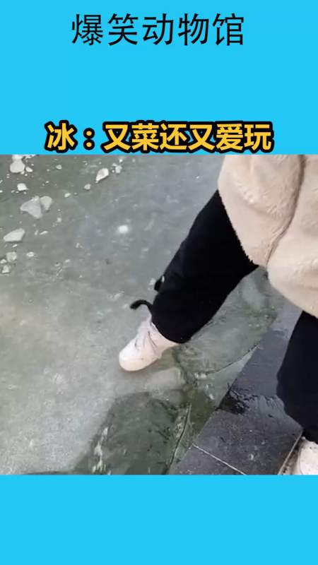 我要上热门#冰:又菜还又爱玩