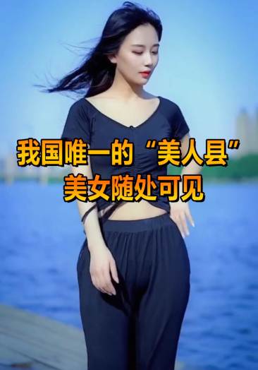 普离机手输功能微3982948