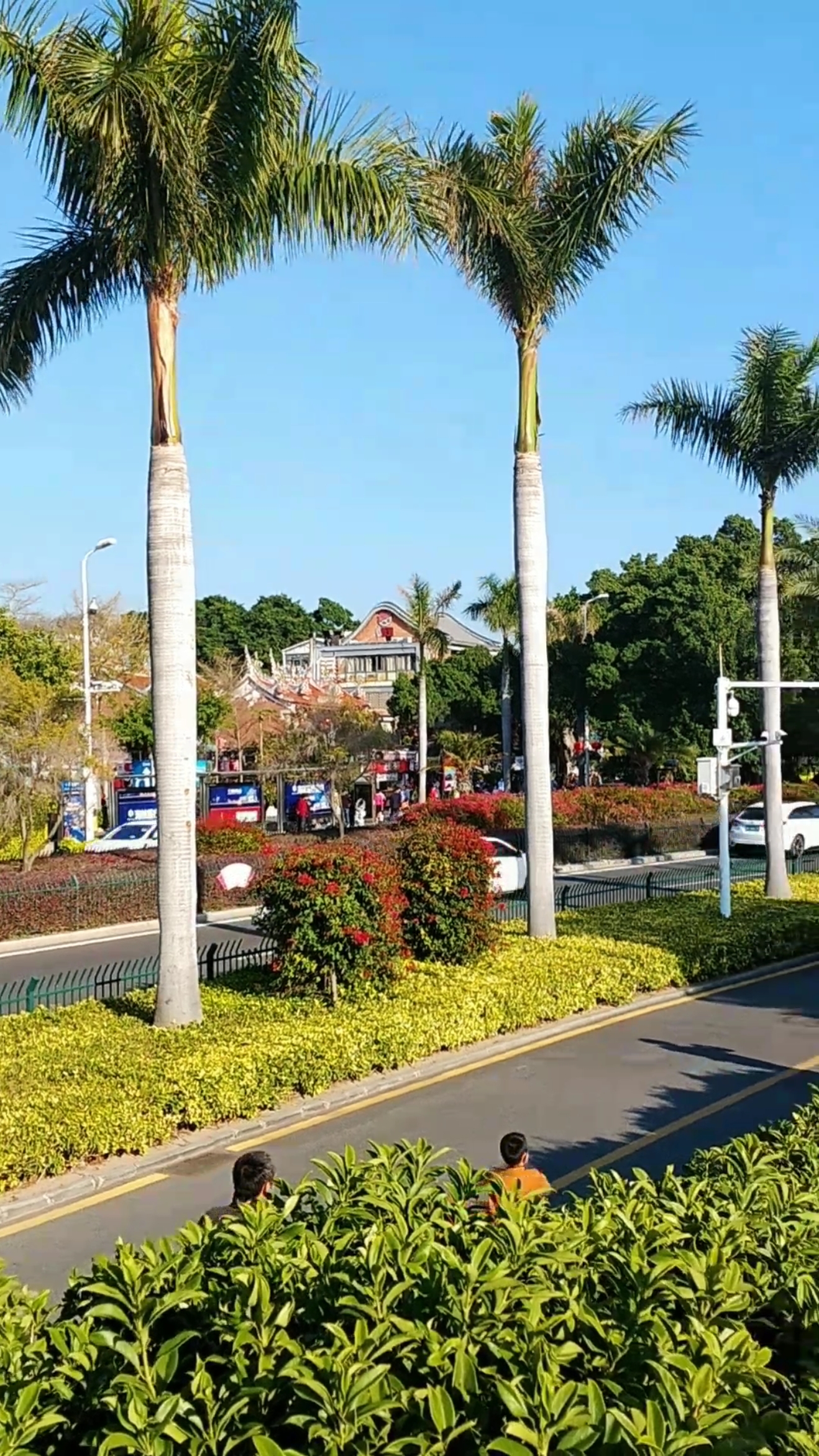 我要上热门#厦门随手拍都是美景.