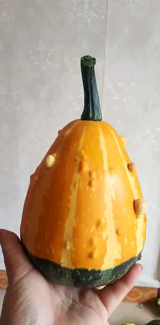 特大号墨西哥七彩葫芦!