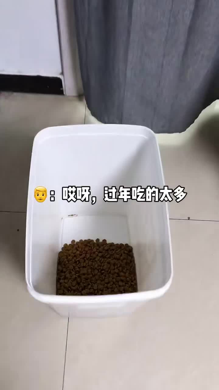 我家萌宠成精了