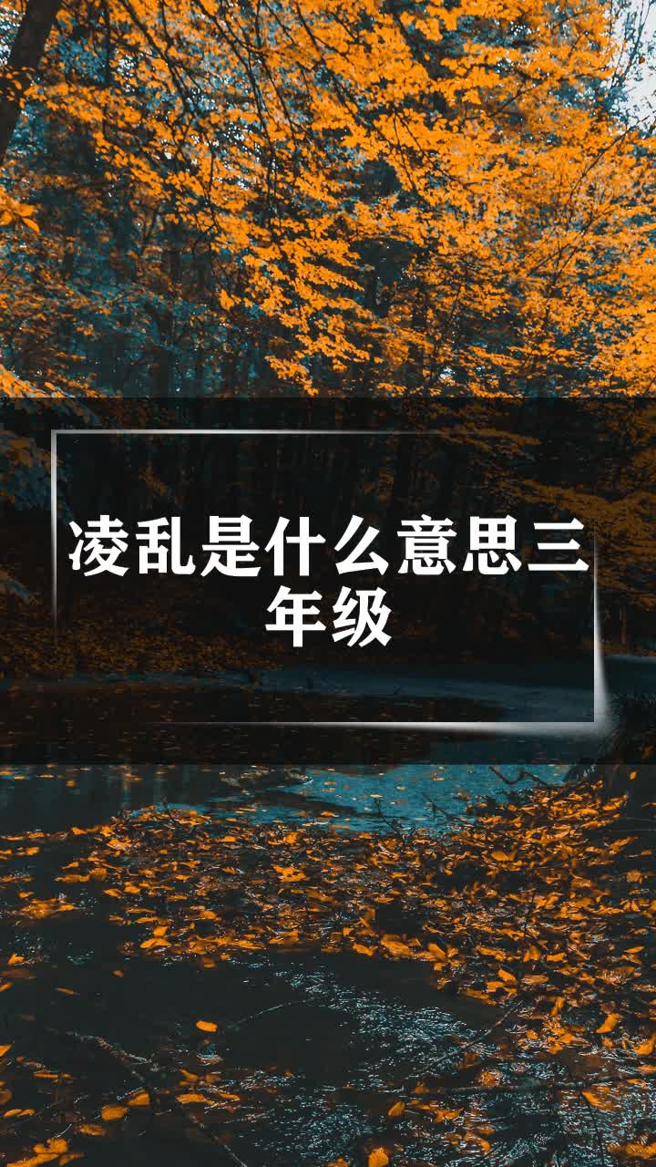 凌乱的意思是什么意思(凌乱的意思是什么 标准答案)