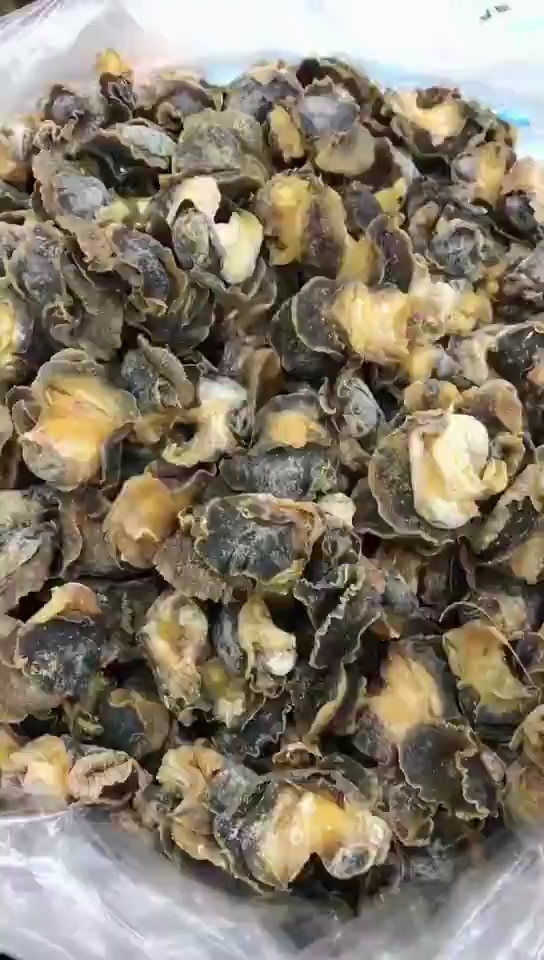 超好吃的海螺干