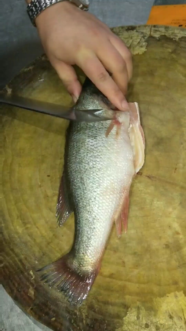 上热门的花刀鱼