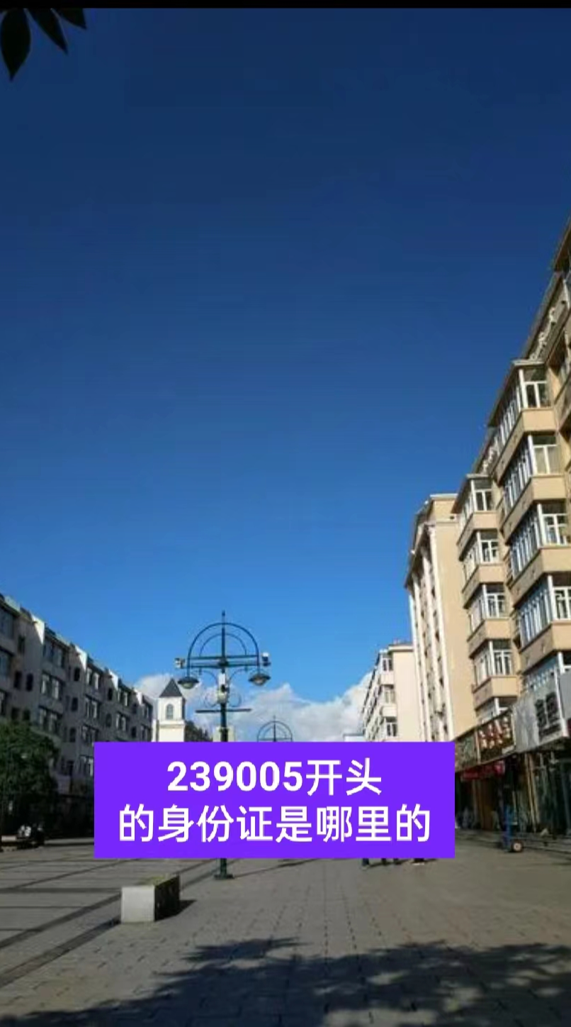 239005开头的身份证是哪里的