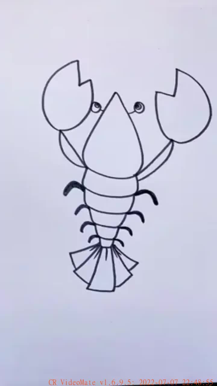 大龙虾简笔画可爱图片