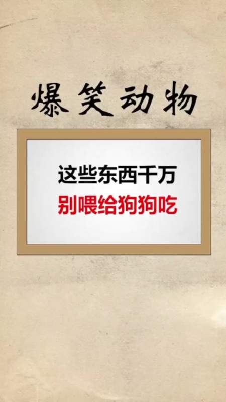 搞笑段子#你知道这些东西狗狗不能吃吗