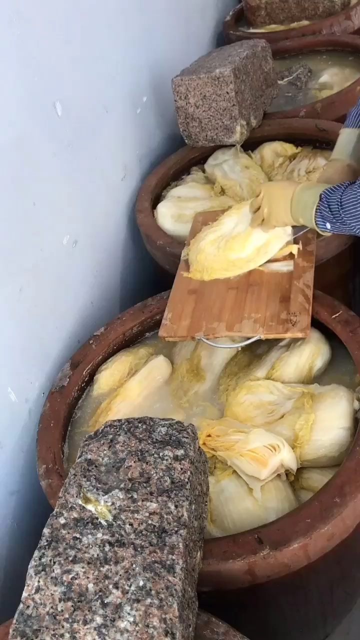 东北酸菜#正宗东北大缸腌制酸菜.