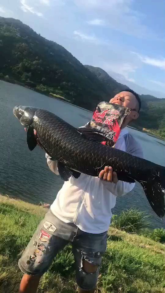 看看钓鱼人上大鱼的兴奋