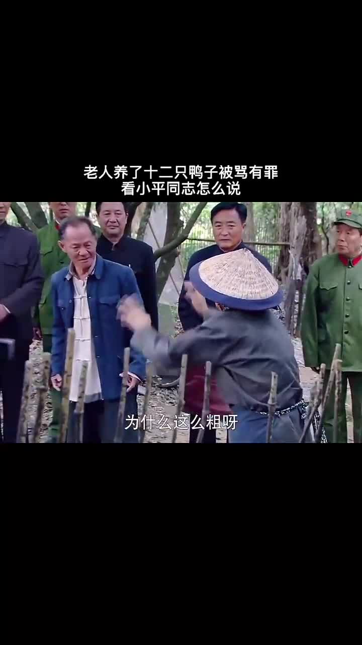 养四只鸭子就是资本主义这是什么说法