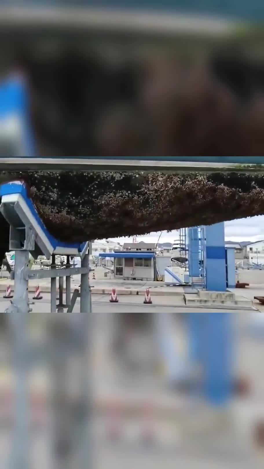 有谁知道怎样清理船底的藤壶?