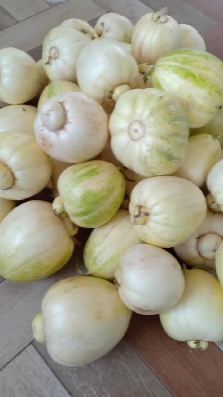纯东北本地甜香瓜.