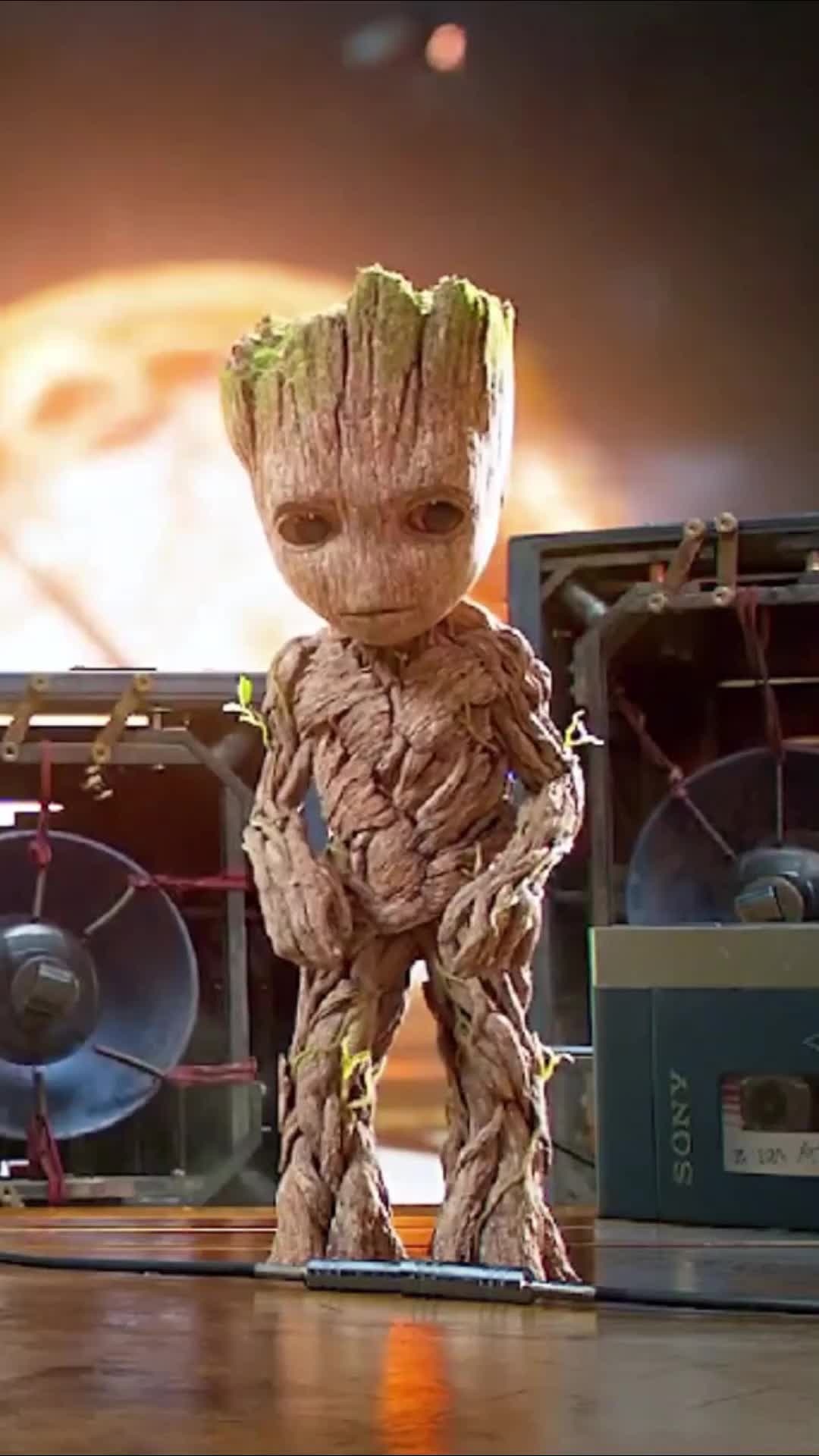 团宠童年树人格鲁特没人不喜欢吧