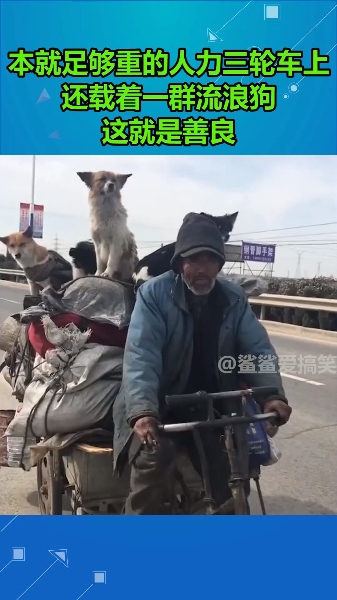 坐三轮车图片搞笑图片