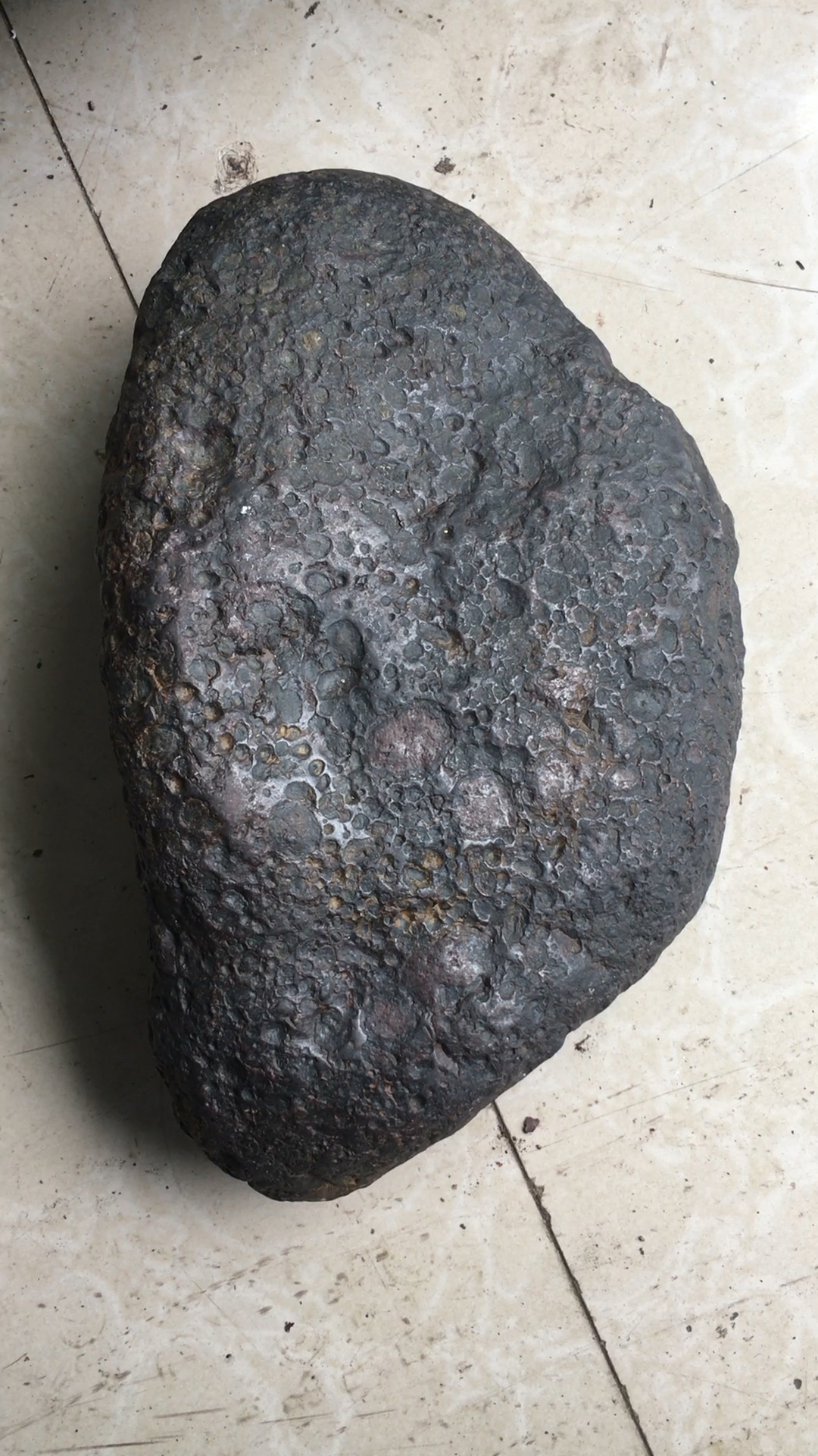 这颗球粒陨石重7050克!弱磁