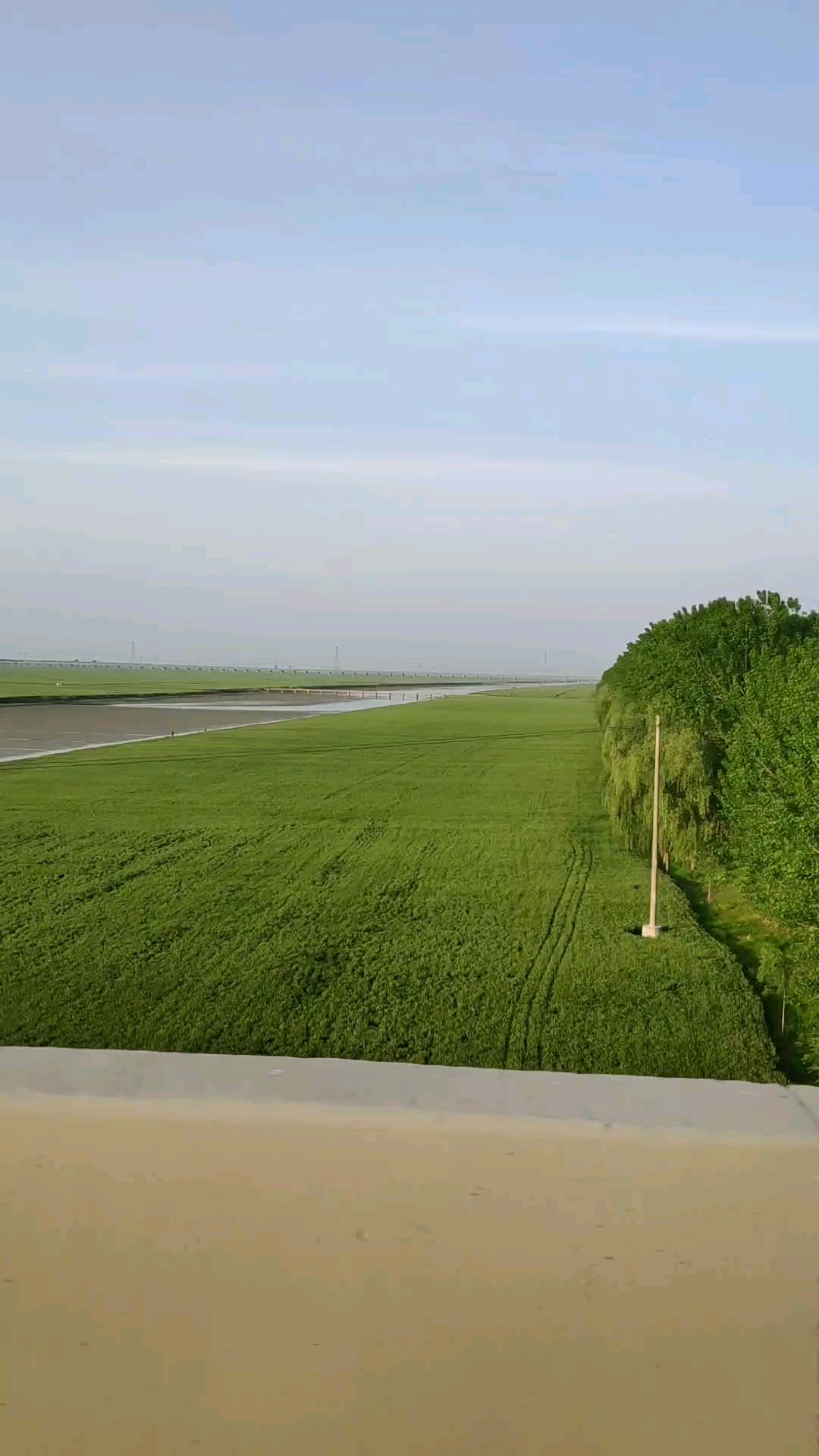 沂河淌风景挺好!