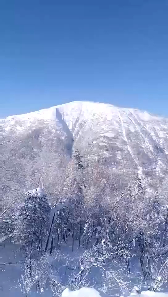 龙江最高峰  大秃顶子山
