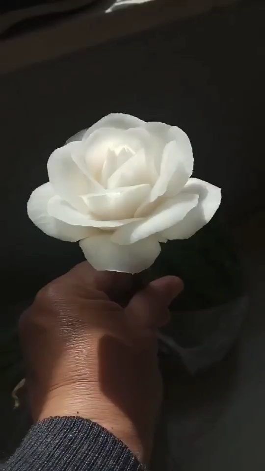 天秀不如你秀#白萝卜雕刻,月季花,好看吗?