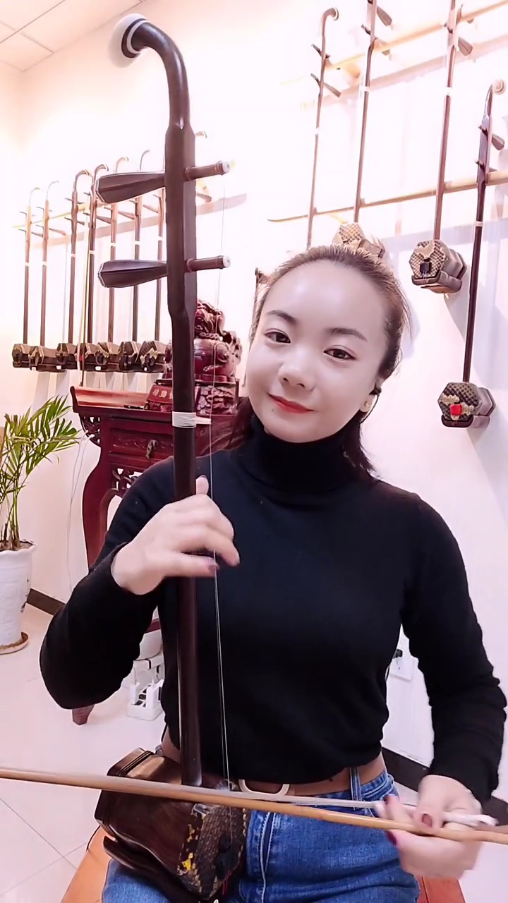 古典中国风国风古韵民乐艺术欣赏二胡独奏拥军花鼓恭祝虎年新春愉快