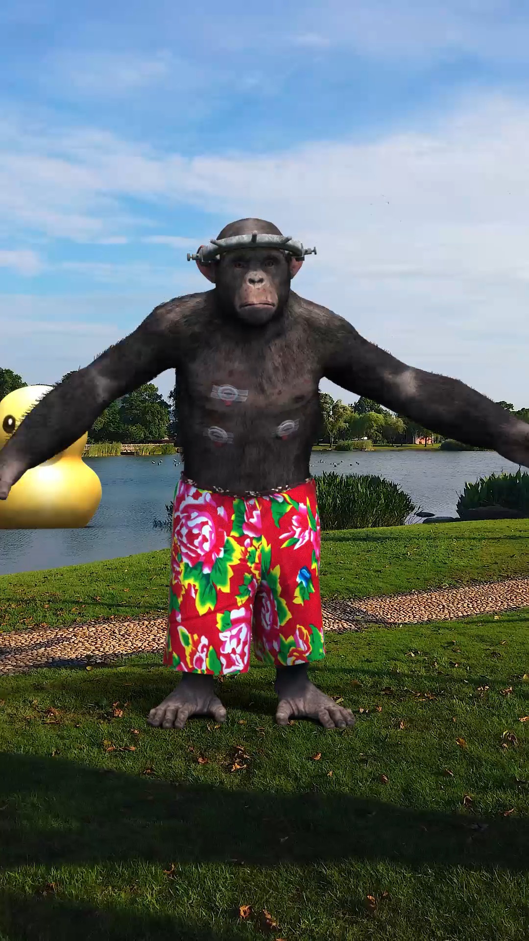 舞蹈#大猩猩跳舞