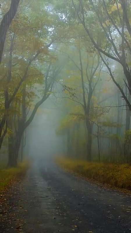 大自然美景当你心情不好,浮躁不安的时候,就来翻翻我的作品吧