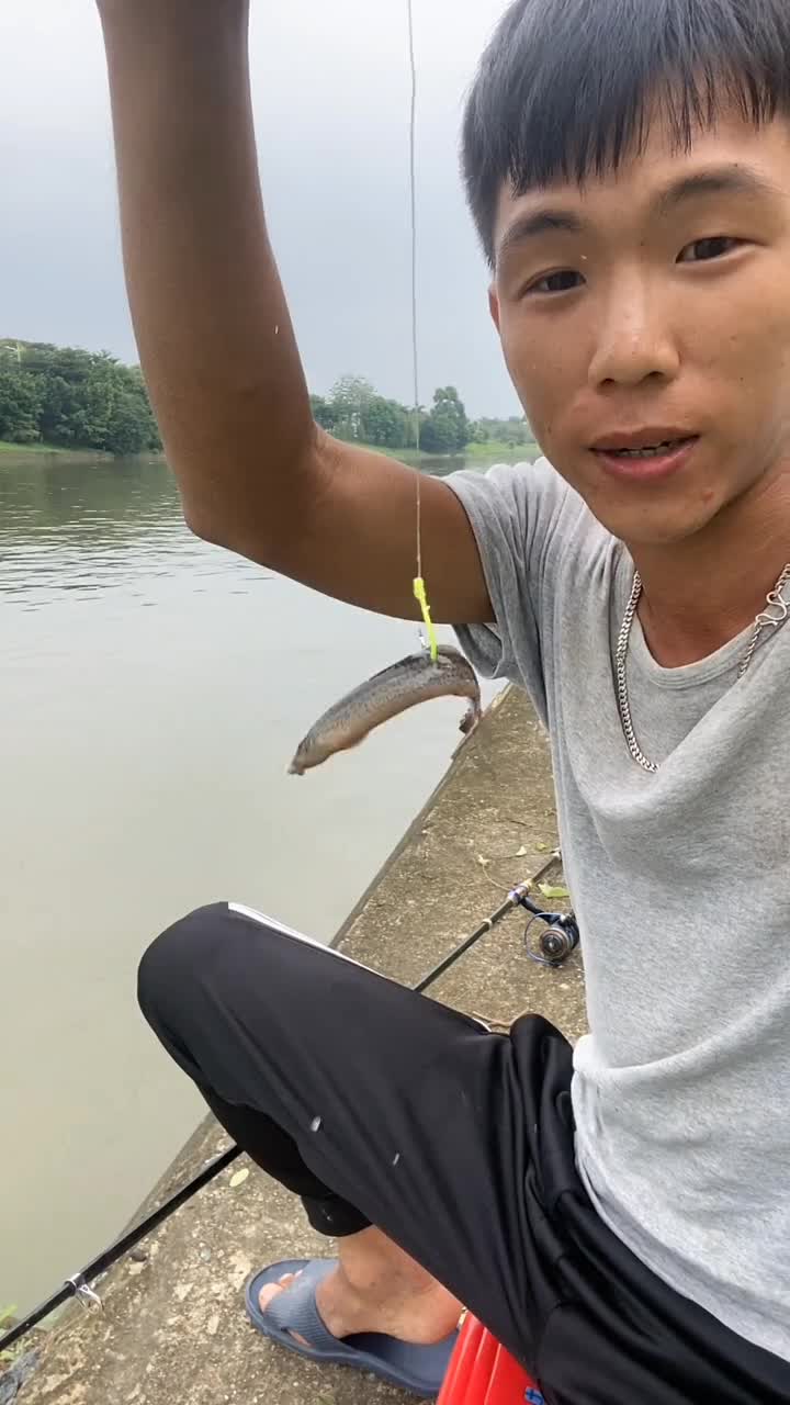 今天用泥鳅钓黑鱼,希望可以爆满,给我一个大的惊喜-度小视