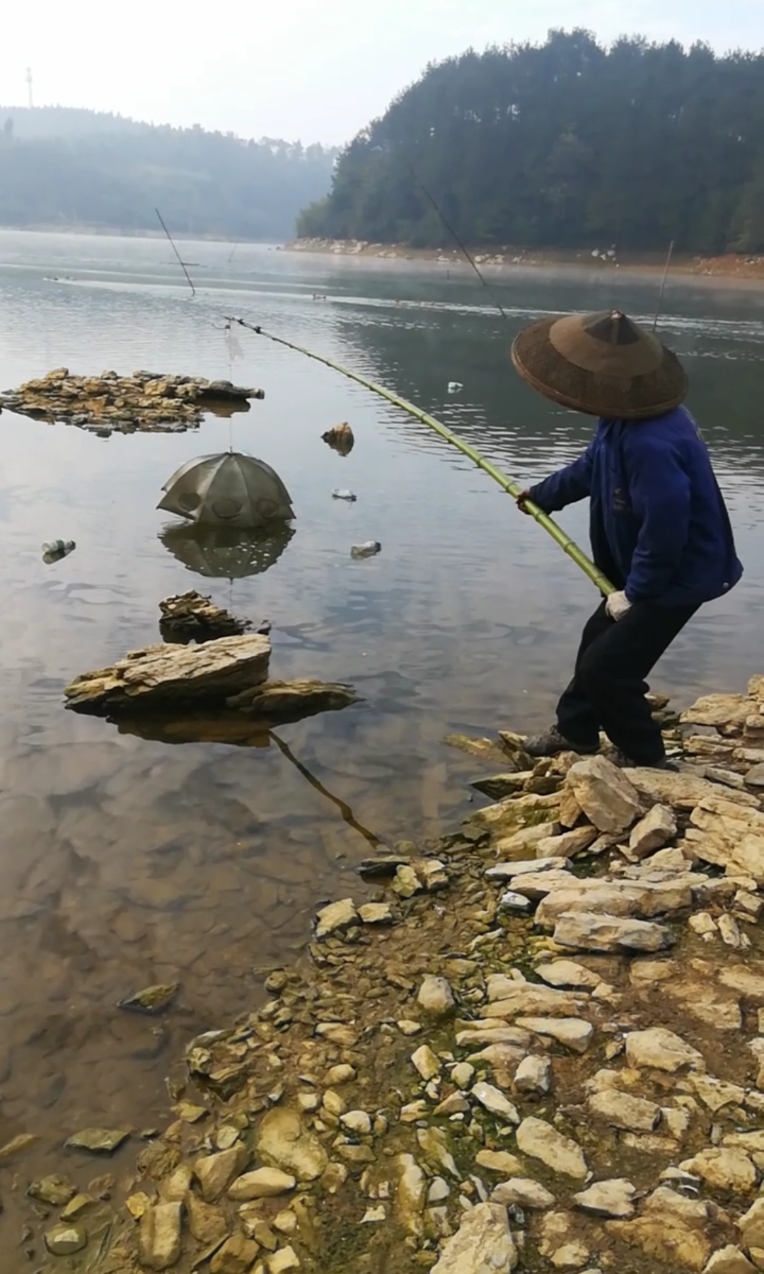 户外抓鱼#你们那边有这样抓鱼的吗?