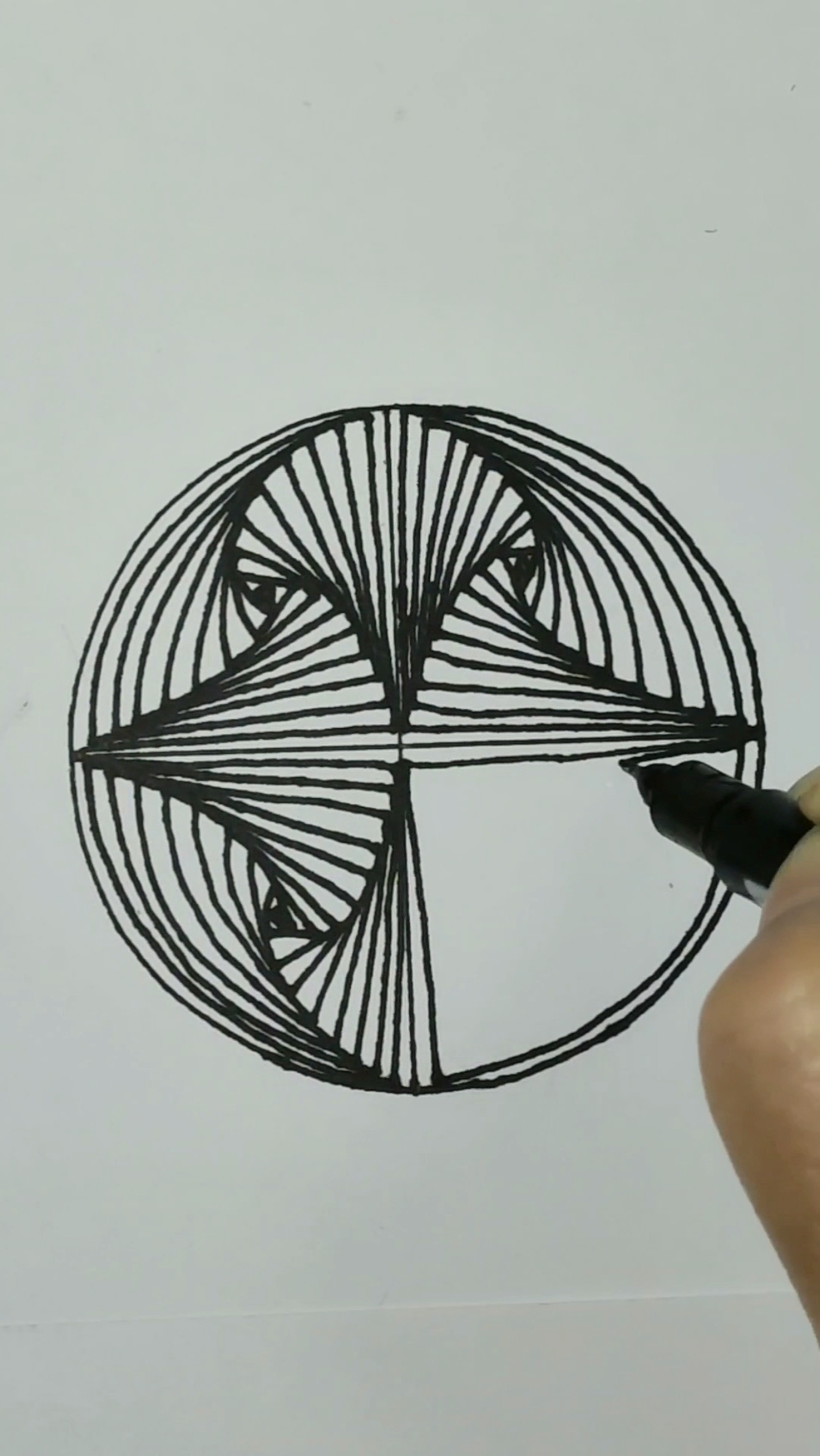 旋转出的直线图形