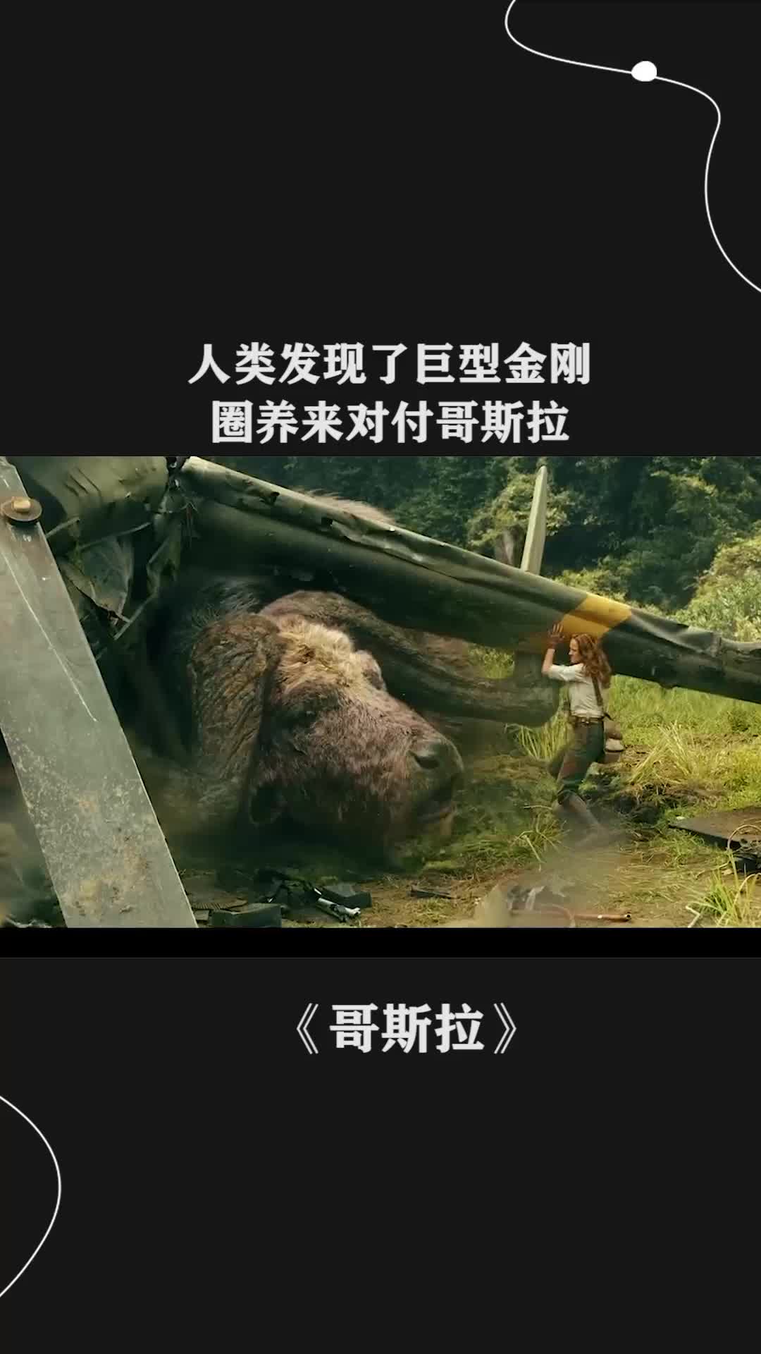 人类发现了巨型金刚,圈养来对付哥斯拉