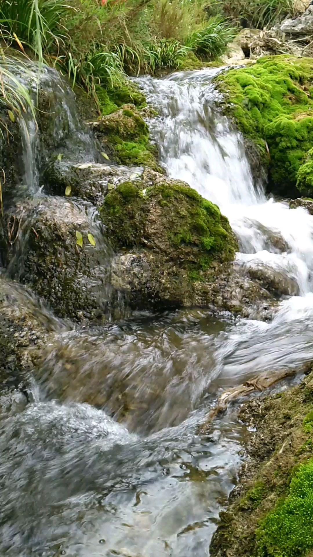 清清河水涓涓奔流不息 摄影漂泊岭西 编辑:漂泊岭西.