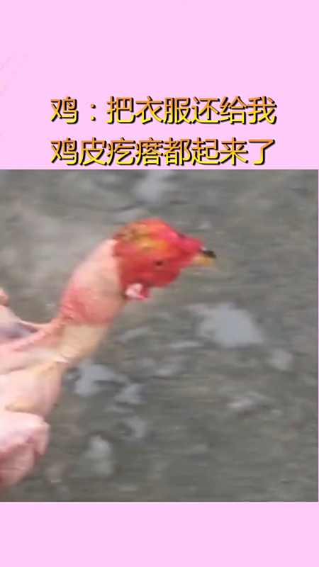 浑身鸡皮疙瘩起来(浑身鸡皮疙瘩起来疼)