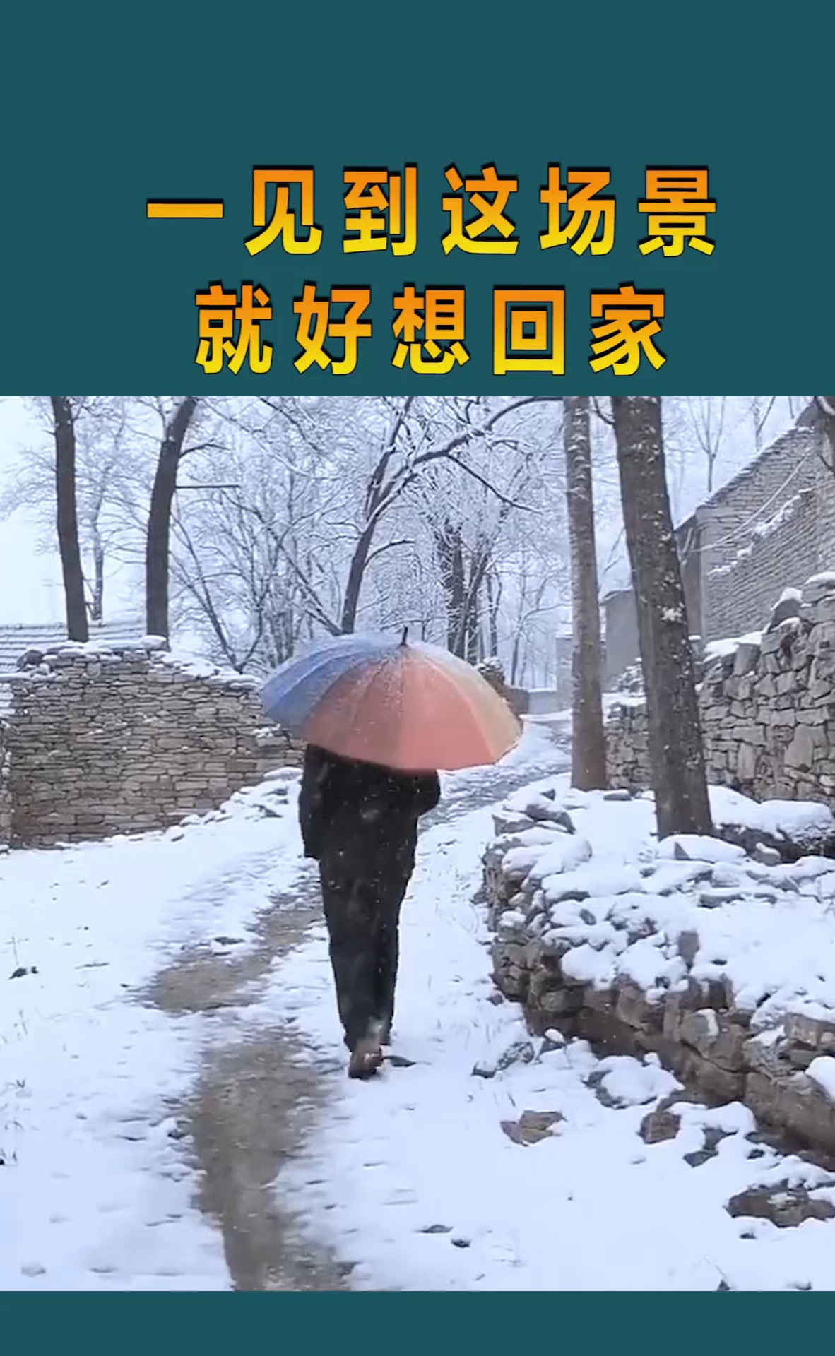 一见到这场景,就好想回家!