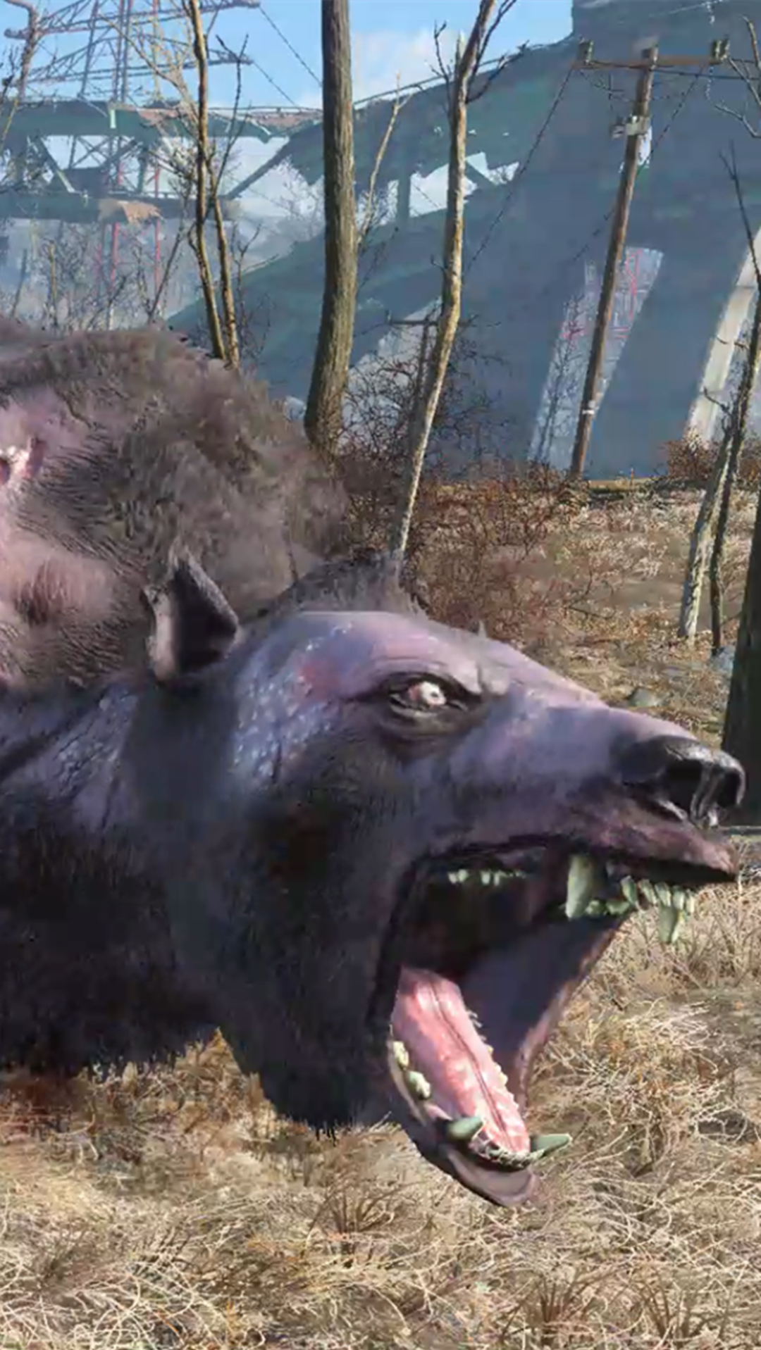 游戏#马戏团的熊受核辐射照射变异成吃人的妖怪