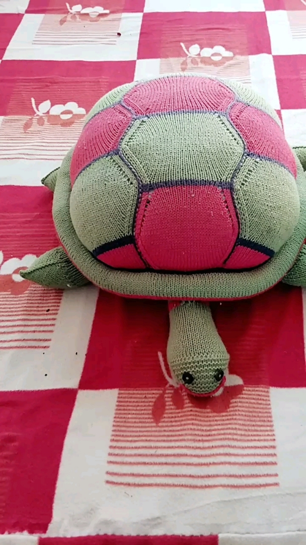 自己编织的毛线乌龟