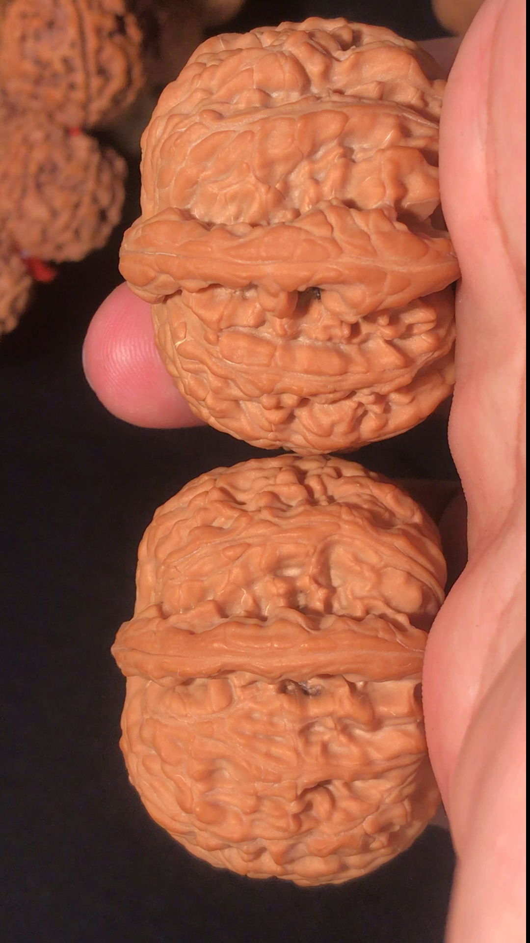 文玩核桃#闷尖白狮子头